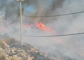 Bodrum’da korkutan yangın