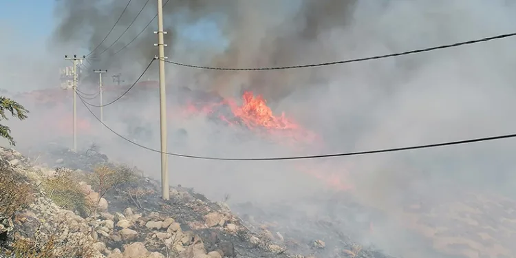 Bodrum’da korkutan yangın