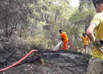 Antalya Kemer’de çıkan orman yangını kontrol altına alındı