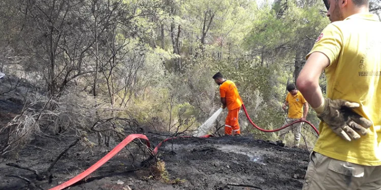 Antalya Kemer’de çıkan orman yangını kontrol altına alındı