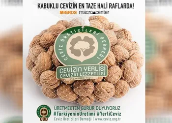 “Yerli ceviz kuraklıktan nasibini alıyor”