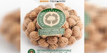 “Yerli ceviz kuraklıktan nasibini alıyor”