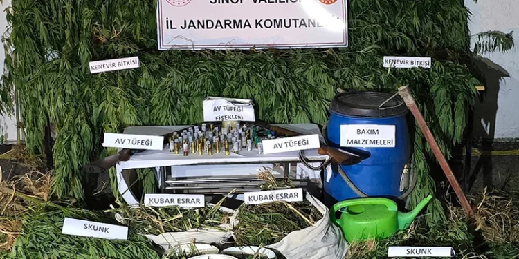 Sinop’ta uyuşturucu operasyonu