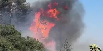 Hatay’da orman yangını