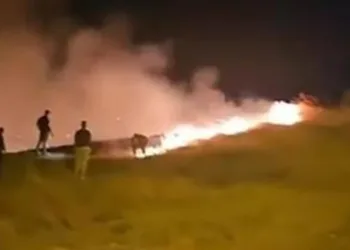 Çırçır Tepesi’ndeki yangın korkuttu