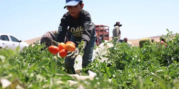 Sıcak altına ekmek mücadelesi