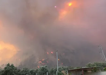 Aydın’daki yangın rüzgarın etkisi ile büyüdü