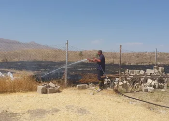 Van’da anız yangını