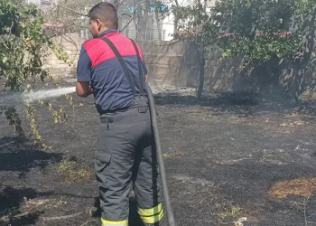 Örtü yangın büyümeden söndürüldü
