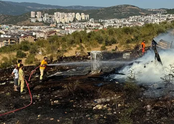 Bursa’da ormanlık alan büyük tehlike atlattı