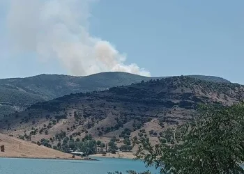Tunceli’de orman yangını
