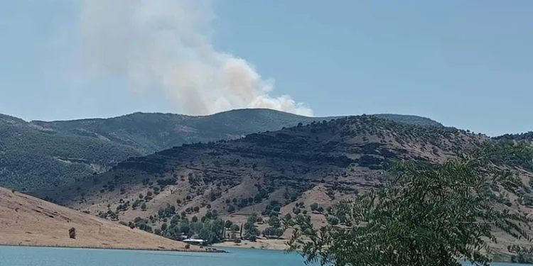 Tunceli’de orman yangını
