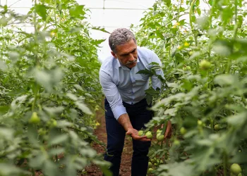 Gemlik’te ürünler Halk Büfe’lerde satışta