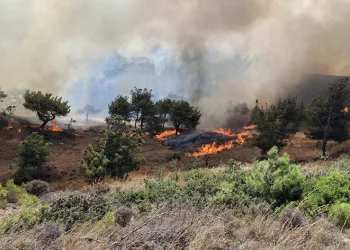Bozcaada’da ziraat alanında yangın