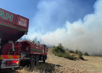 Kahramanmaraş’ta orman yangını