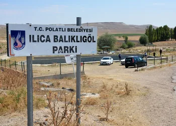 Gazi balıklar tehditi altında