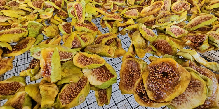 Avrupalılar bu lezzeti çok sevdi