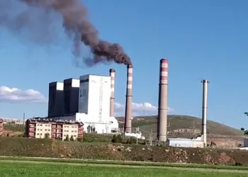 Termik santralden yayılan kömür külü köylüyü kanser etti