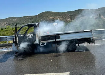 Kamyonet yangını söndürüldü
