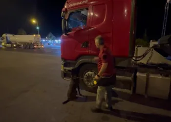 Hassas burun ‘Barbara’ 46 kilogram esrarı buldu