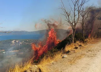 Erdek’teki yangın söndürüldü