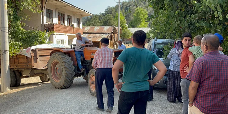 Bolu’da orman yangını kontrol altına alındı