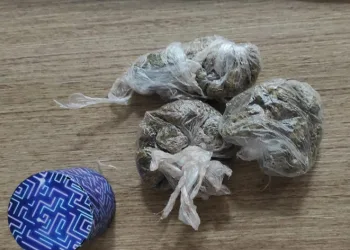 Ordu’da uyuşturucu operasyonunda 2 tutuklama