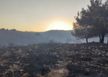 Hatay’da çıkan orman yangını kontrol altına alındı