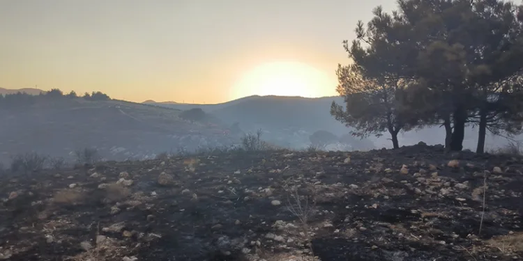 Hatay’da çıkan orman yangını kontrol altına alındı