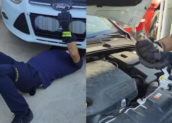 Yaramaz kedi araç motorunda mahsur kaldı