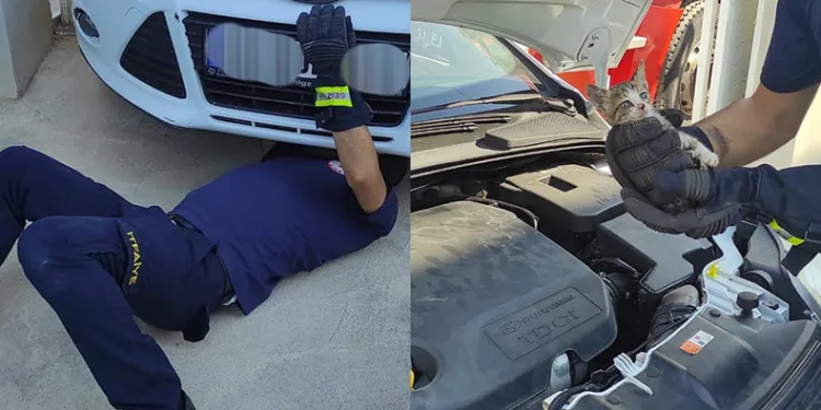 Yaramaz kedi araç motorunda mahsur kaldı