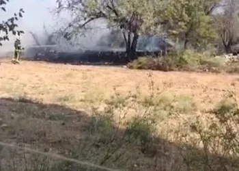 Samanlıkta çıkan yangın paniğe neden oldu