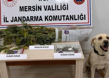 Mersin’de uyuşturucu operasyonları