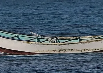 Teknede 14 iskelet bulundu