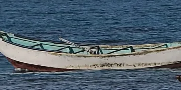 Teknede 14 iskelet bulundu
