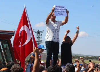 “Tarım Kredi Kooperatifi, salçalık domates alımı yapacak”