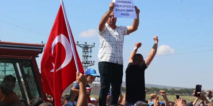“Tarım Kredi Kooperatifi, salçalık domates alımı yapacak”