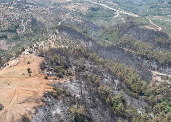 Milas’ta alevler yüzyıllık mirası yuttu