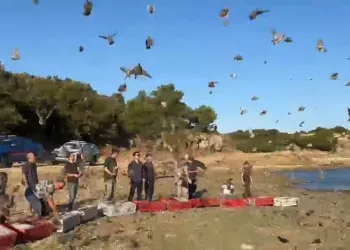 Enez’de 600 çil keklik doğaya bırakıldı