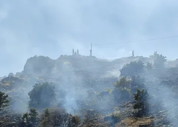 Malatya’da 3 ayrı noktada ot yangını