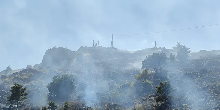 Malatya’da 3 ayrı noktada ot yangını