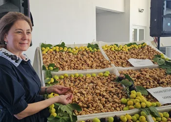 Sezonun ilk kuru inciri 600 TL’den satıldı