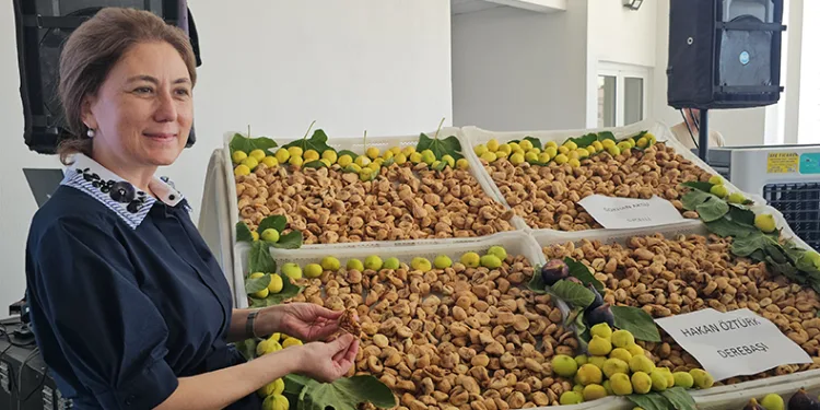 Sezonun ilk kuru inciri 600 TL’den satıldı