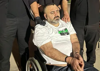 MİT’ten suç örgütü Camgöz Grubu’na darbe
