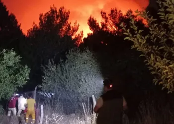 Karşıyaka’da orman yangını