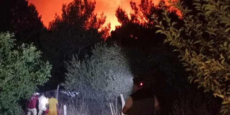 Karşıyaka’da orman yangını