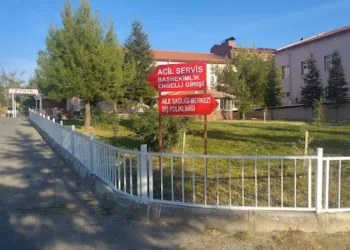 Otomobilin çarptığı yaya öldü