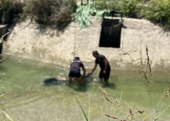 Sulama kanalında erkek cesedi bulundu