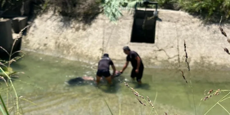Sulama kanalında erkek cesedi bulundu