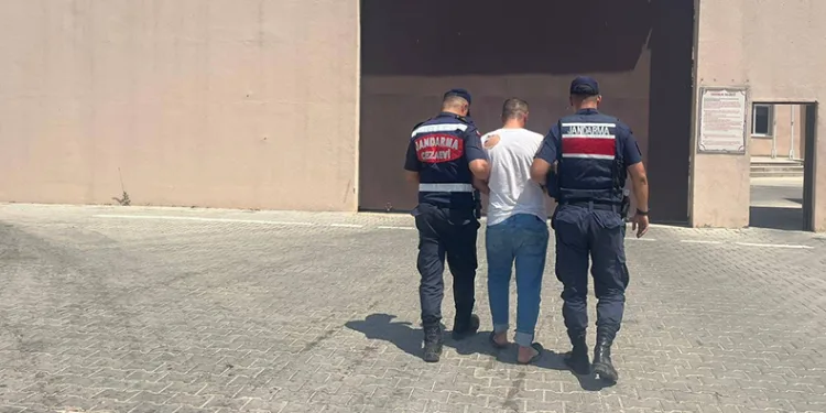 Antep fıstığı çalma anı kameraya yansıyan şahıs tutuklandı